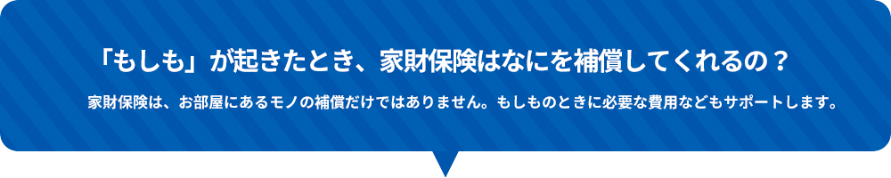 �u�������v���N�����Ƃ��A�ƍ��ی��͂Ȃɂ�⏞���Ă����́H�ƍ��ی��́A�������ɂ��郂�m�̕⏞�����ł͂���܂���B�������̂Ƃ��ɕK�v�Ȕ�p�Ȃǂ��T�|�[�g���܂��B